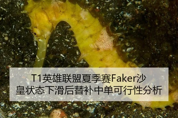 ying-xiong-lian-meng-xia-ji-sai-sha-huang-zhuang-tai-xia-hua-hou-ti-bu-zhong-dan-ke-xing-xing-fen-xi-1-282.jpg